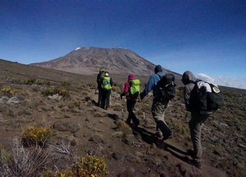 6 days machame route kilimanjaro climbing