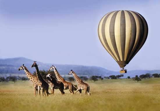Hot Air baloon flights