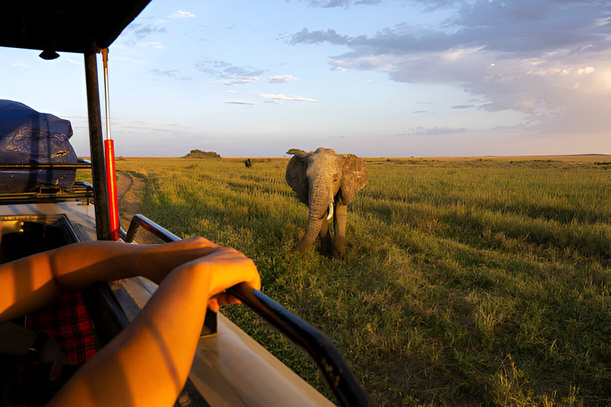 Ngorongoro Crater 